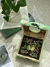 Enchanted Green Butterfly Garden Keepsake Box